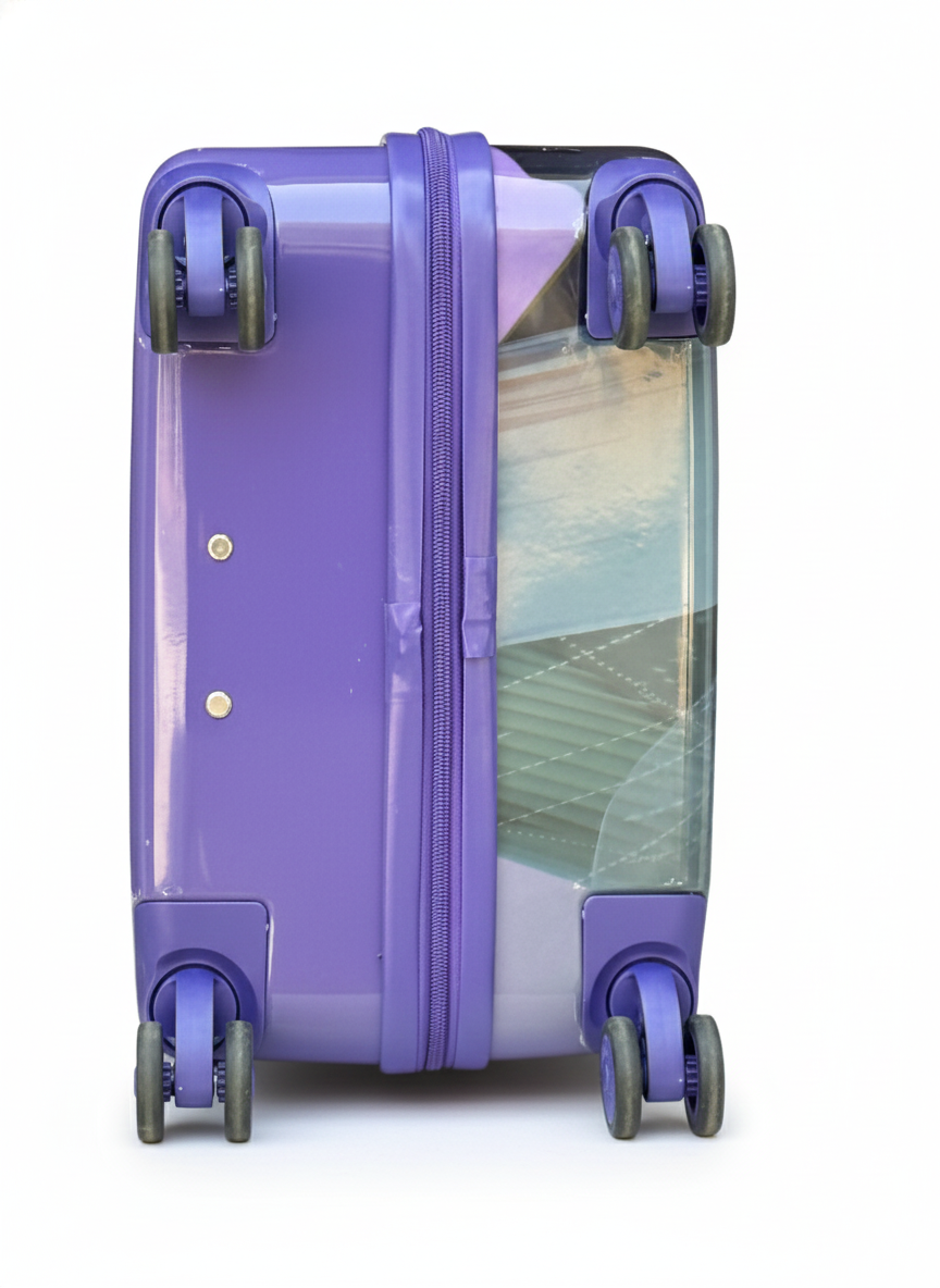 Character Kids School Trolley Bag